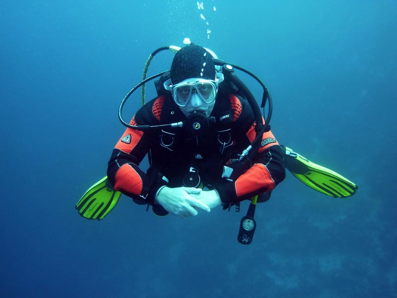 Alternate History Dives