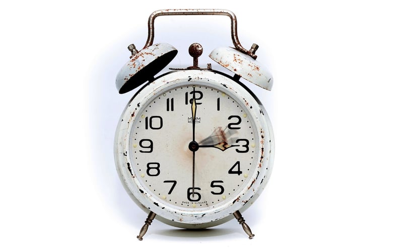 Time-Loop Exploration